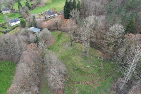 photo no. 10
