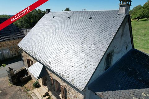 photo no. 14