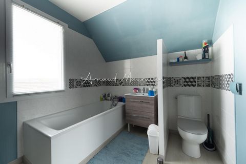 photo no. 6