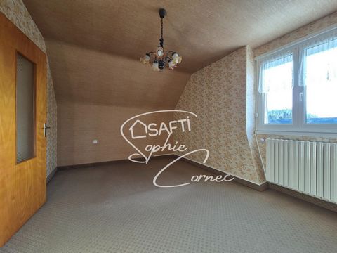 photo no. 11