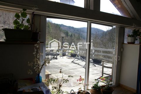 photo no. 12