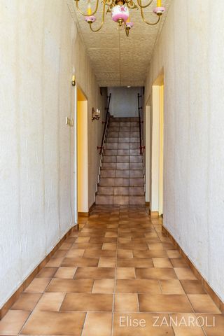 photo no. 4