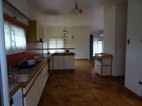 photo no. 5