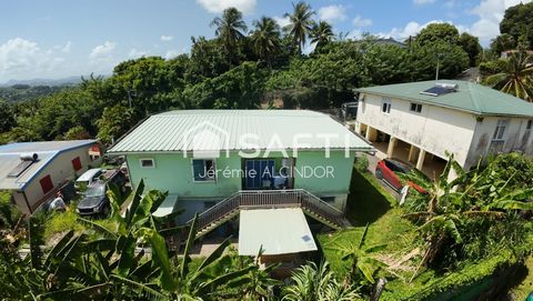 photo no. 2