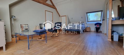 photo no. 6