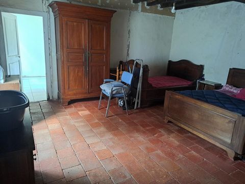 photo no. 6