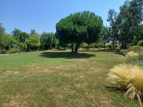 photo no. 12