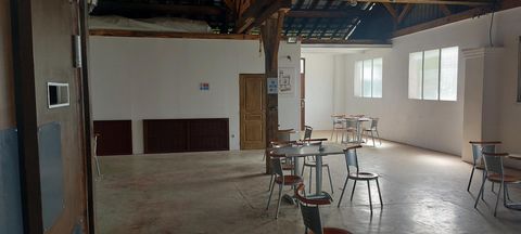 photo no. 6