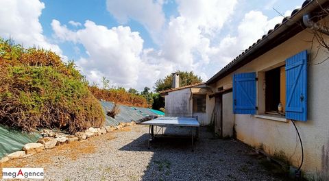 photo no. 11