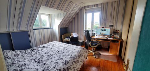 photo no. 12