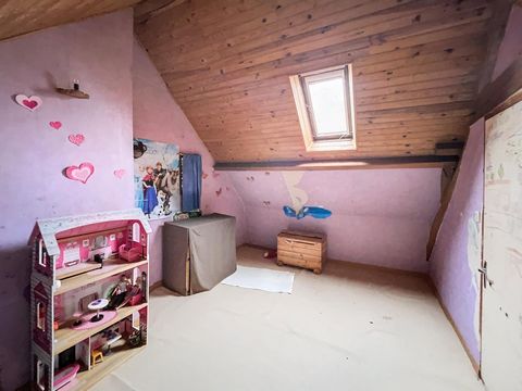 photo no. 8
