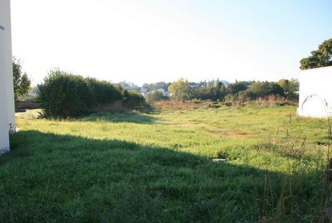 photo no. 1