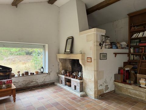photo no. 10