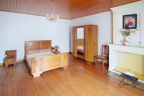 photo no. 11