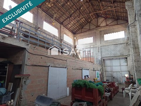 photo no. 13