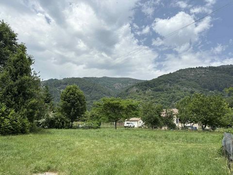 photo no. 2