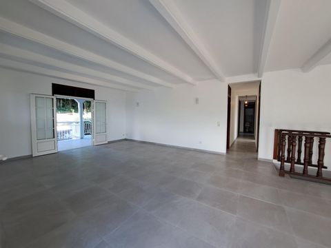 photo no. 13