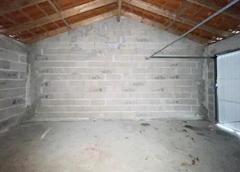 photo no. 11