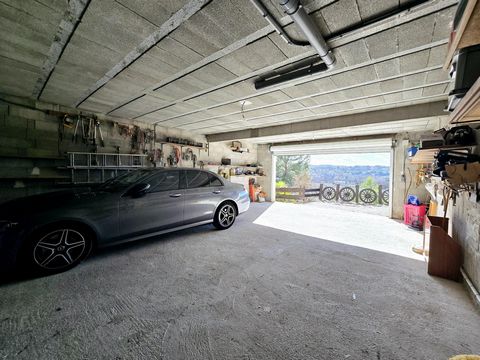photo no. 12