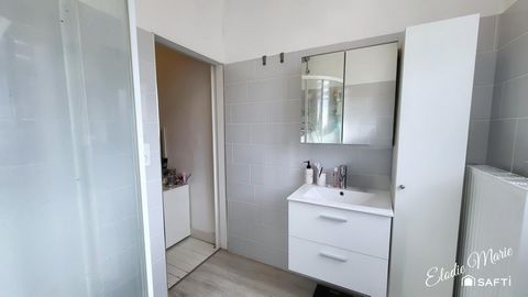 photo no. 11