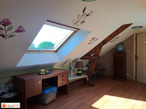 photo no. 7