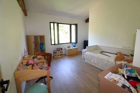 photo no. 8
