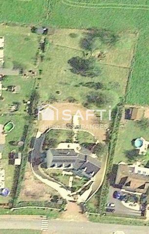 photo no. 13