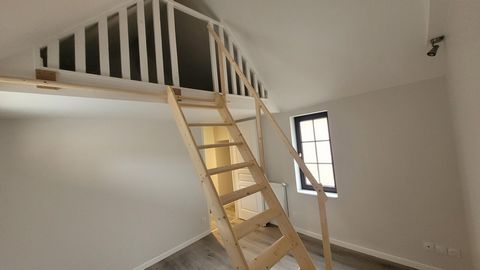photo no. 10