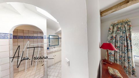 photo no. 13