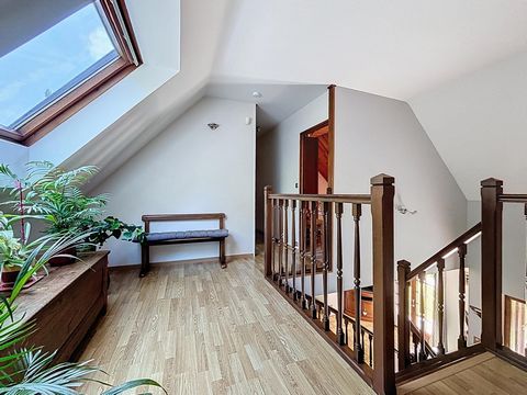 photo no. 10