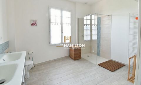 photo no. 11