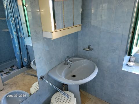 photo no. 14