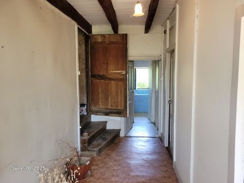 photo no. 15