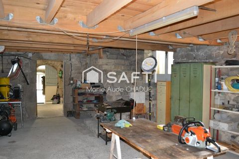 photo no. 9