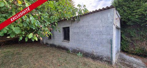 photo no. 15