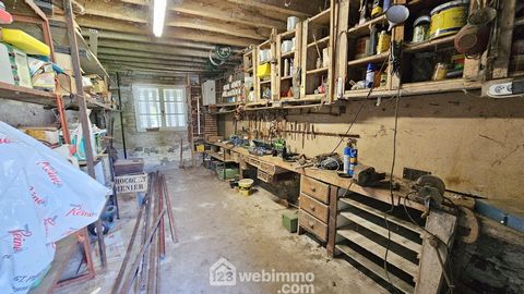 photo no. 11