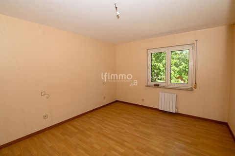 photo no. 12