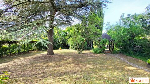 photo no. 14