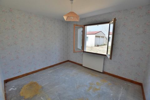 photo no. 5