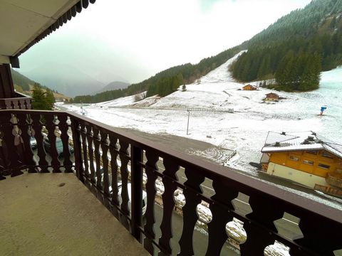 photo no. 8