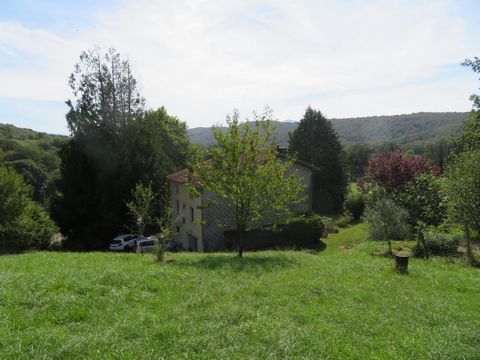 photo no. 11