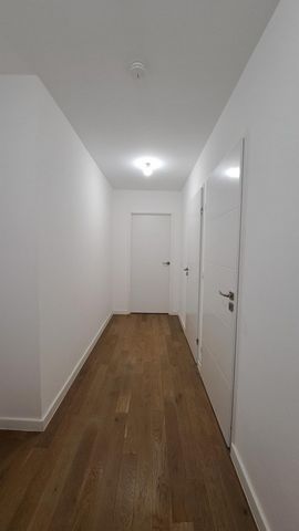 photo no. 8