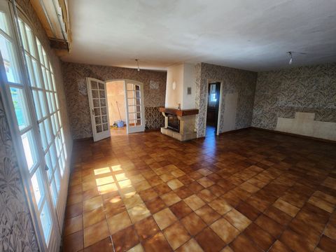 photo no. 4