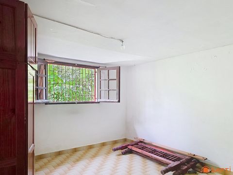 photo no. 7