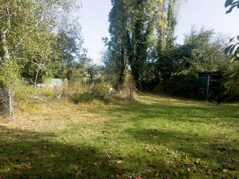 photo no. 18