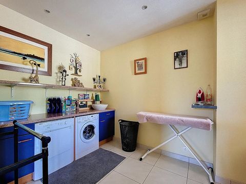 photo no. 10