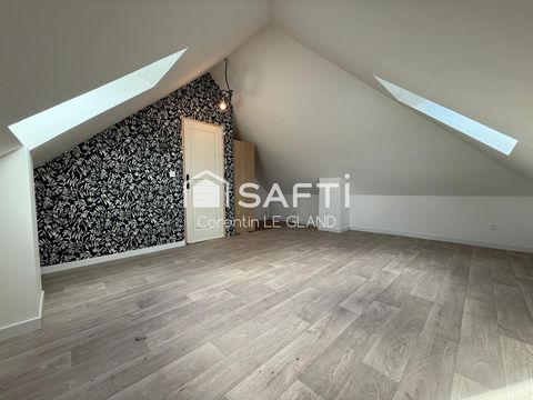 photo no. 11