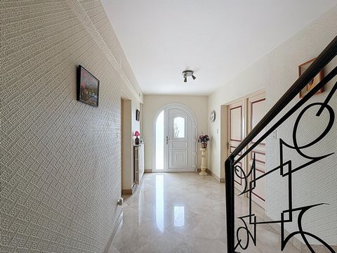photo no. 11