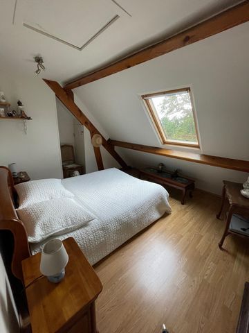 photo no. 8