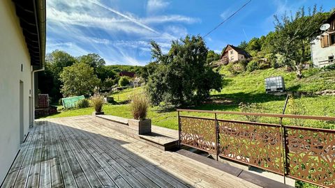 photo no. 14